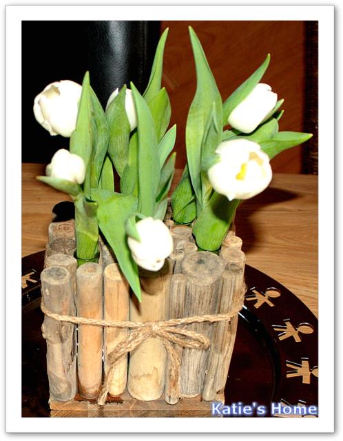 tulipe blanche