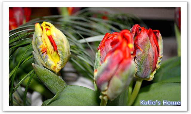 compositions florales 